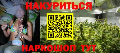 мдпв Бердск