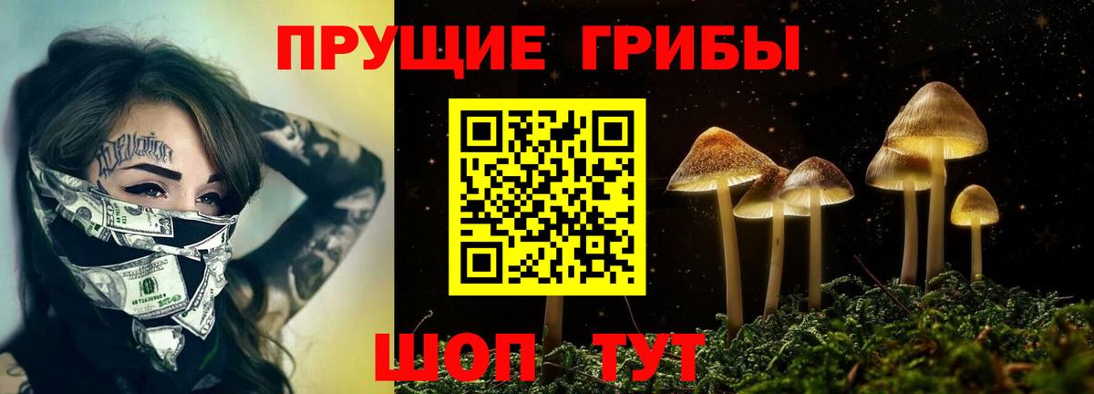 Псилоцибиновые грибы мухоморы Первоуральск